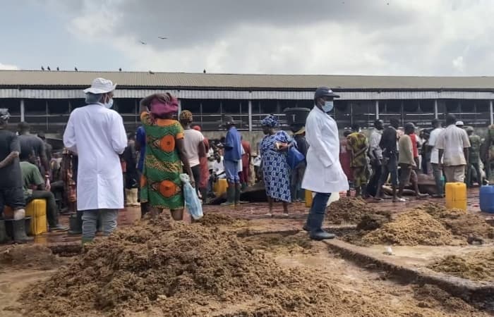 FG allocates N259 million for construction and rehabilitation of abattoirs in six states
