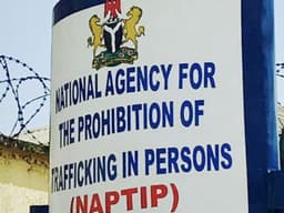 NAPTIP rescues nine pregnant women from Abuja baby factory 