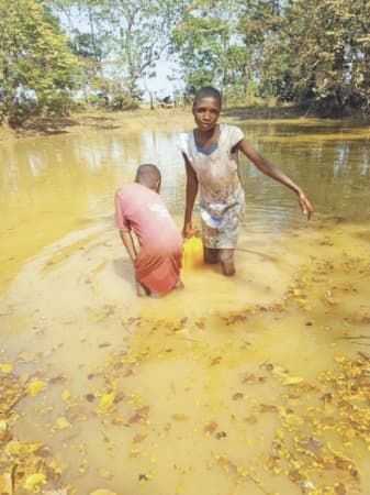 Ebonyi community where residents, cows struggle for water from same stream
