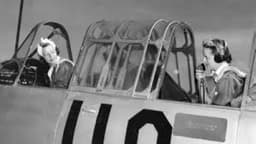 US Air Force removes lessons on black WWII pilots from training 