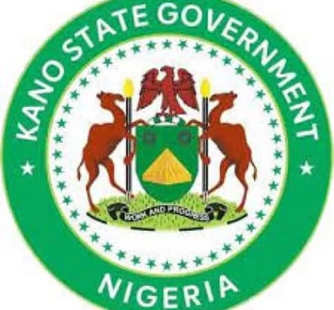 Kano: Only 30pct of women giving birth in hospitals ? Official