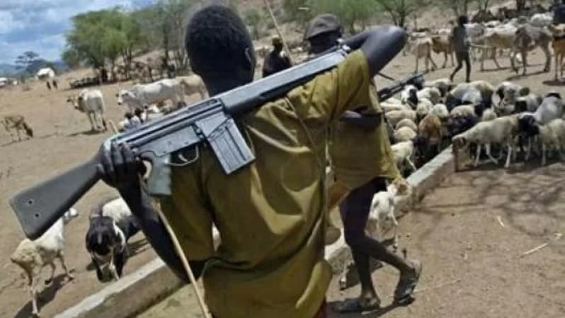 Tension as herdsmen shoot two farmers dead in Delta