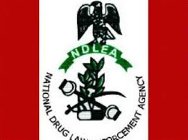 NDLEA storms Kano drug joints, arrests 18 in major raids