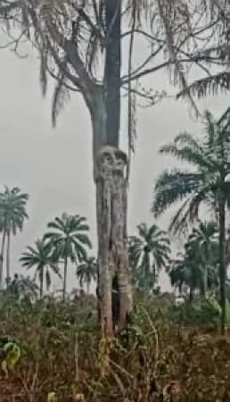 Ekiti celebrates as engineer discovers mysterious tourism site