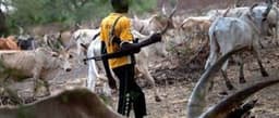 Ebonyi residents accuse security of complicity in herdsmen attack