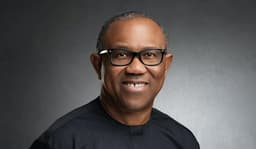 Use criticisms against Nigeria to prioritise development, Peter Obi urges