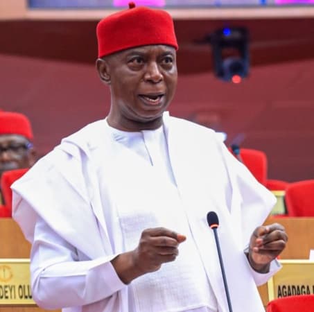 Sen. Nwoko warns of descent to one-party state in Nigeria