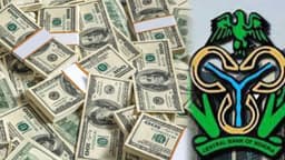 CBN introduces new FX sales to BDCs 