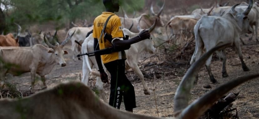 Suspected herdsmen kill six people in Benue