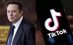 No plans to acquire TikTok’s US operations — Elon Musk