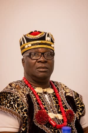 Southeast Council of Traditional Rulers appoints High Chief Aloy Obi Chairman, Igbo Leaders in Diaspora