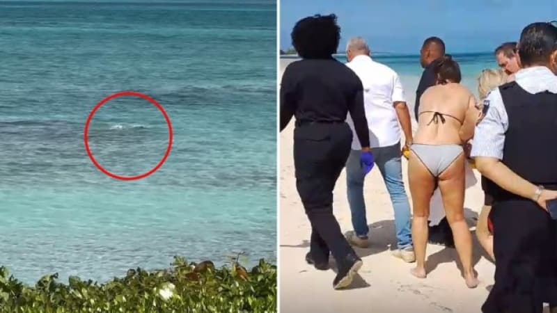 Shark bites off tourist’s hands as she tries to take selfie on Caribbean beach