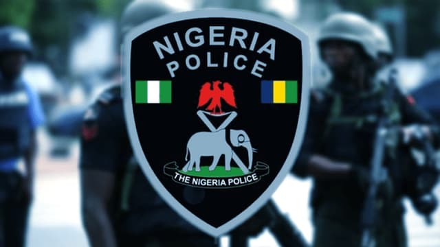 Police intercept vehicle loaded with rustled cattle in Niger 