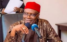 New twist in PDP crisis, as plot to sack Wabara, BoT chair thickens