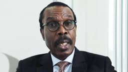 Naira rally: Rewane clears air on CBN’s $8bn FX intervention