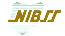 Nigerian banking fraud has tripled — NIBSS 