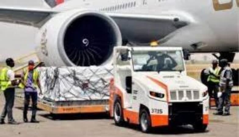  FAAN’s new equipment can’t check bird strikes