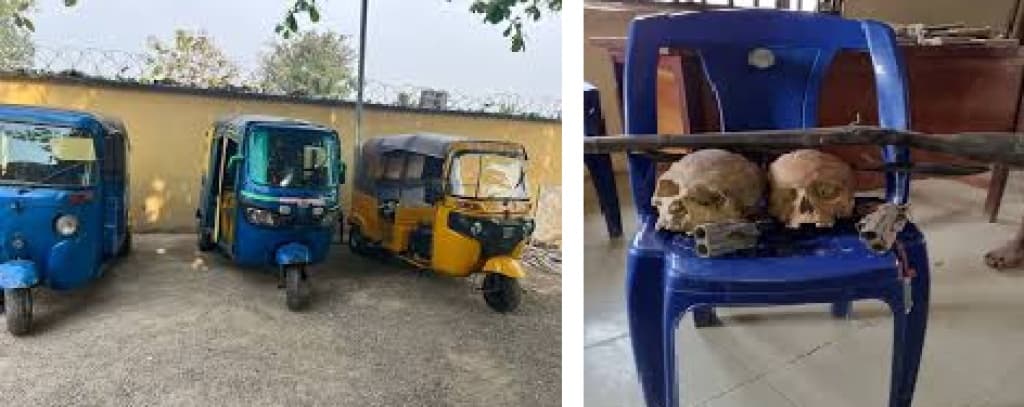 Police arrest man with human skulls, recover stolen tricycles in Ebonyi