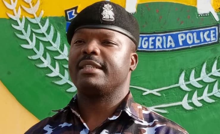 49 suspected rapists arrested in Katsina