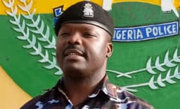 49 suspected rapists arrested in Katsina