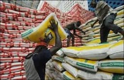 Why Lagos rice is hardly seen in the market — LASG