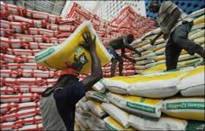 Why Lagos rice is hardly seen in the market — LASG