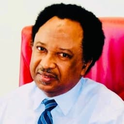 Mistakes some activists made in 1999 still affecting Nigeria?s democracy ? Shehu Sani