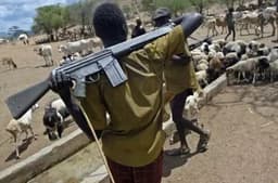  15 killed as herdsmen launch renewed attack in Benue