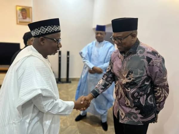 I’m ready to work with Peter Obi — Bauchi governor