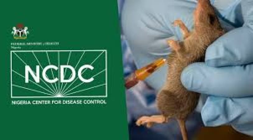 NCDC raises the alarm over spike in Lassa Fever deaths despite decline in cases