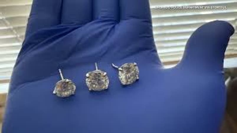 Earrings worth $769,500 recovered by Florida police after alleged thief swallows them