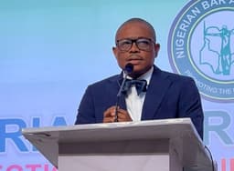 Restore Fubara as Governor, appointment of Administrator unconstitutional ? NBA tells Tinubu