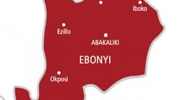 Land dispute between Ebonyi communities claims 100 in five years ? LG chair