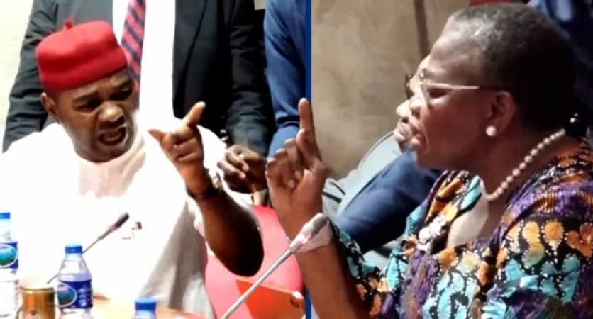 Ezekwesili recounts heated senate hearing drama, describes Senator Natasha as ?heroic?