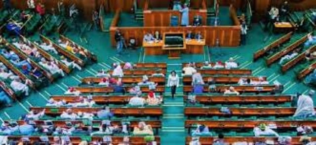 Constitution review: Reps mull creation of 302 new parliamentary seats