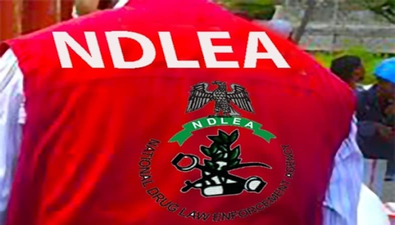 Terrorists, drug traffickers exchange drugs with arms in Sahel to destabilise West Africa ? NDLEA