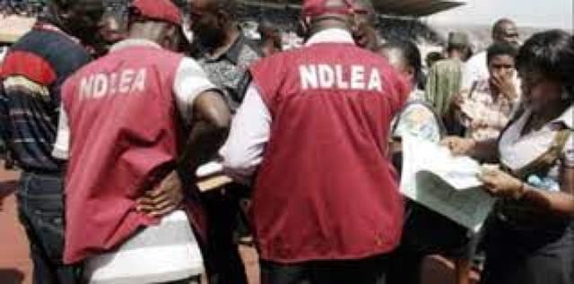 NDLEA arrests 22 suspects, seizes illicit drugs in Kano
