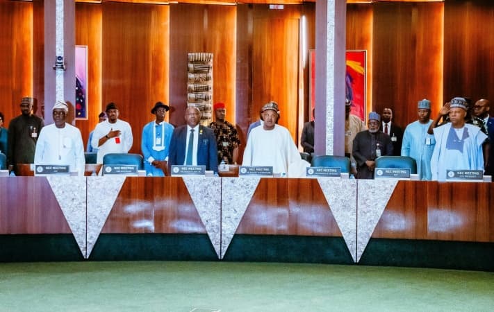 NEC approves key economic revival initiatives