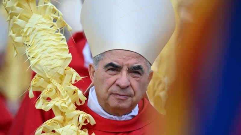 Tension, as convicted cardinal sacked by Pope Francis demands to be part of conclave to choose new pope