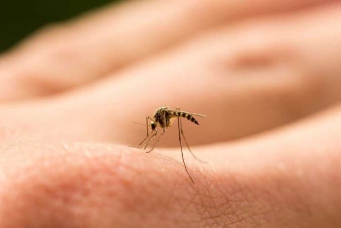 Setback looms in 11 states as U.S. halts $73m yearly anti-malaria aid