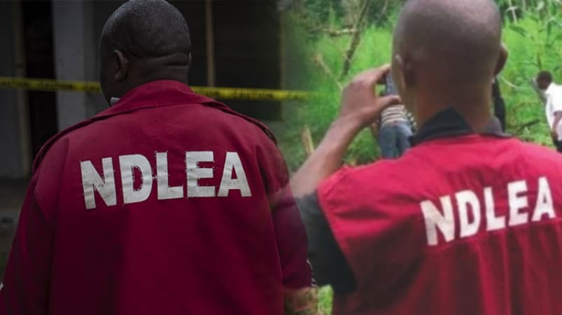 NDLEA raids Lagos hotel, recovers N1.042bn illicit drug consignments
