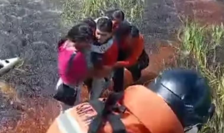 Five people survive two days perched on plane in alligator-filled swamp