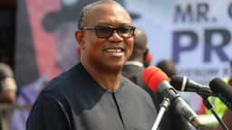 Peter Obi: Poor JAMB results reflect decades of neglect in education sector