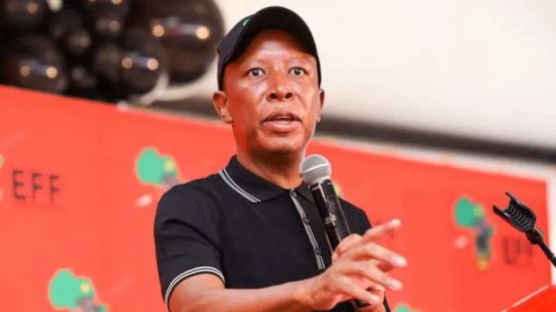 South Africa's Julius Malema hits out after being denied UK visa