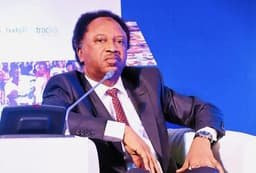 Show results in anti-terror fight not talks, Shehu Sani tells FG