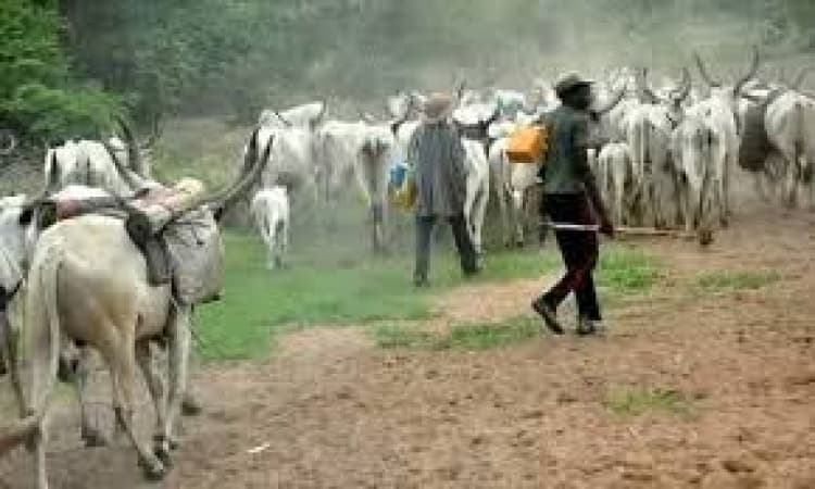 Rivers LGA raises alarm over herdsmen attacks, crumbling infrastructure