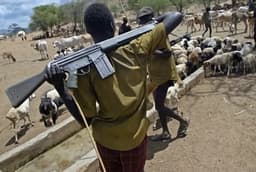 Suspected herdsmen kill nine in Benue communities
