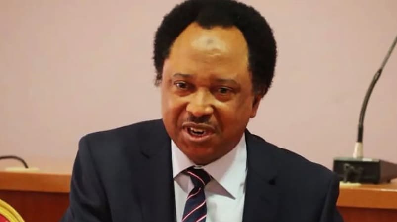 Shehu Sani slams military ‘over use of defence funds for malls, hotels’