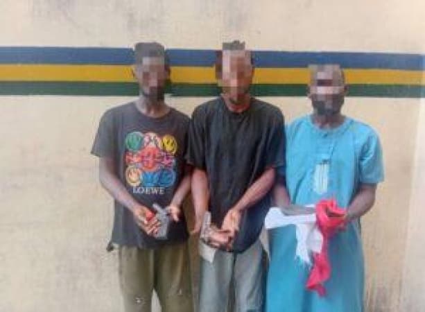 Police storm Lagos cult meeting, arrest suspects, recover pistols