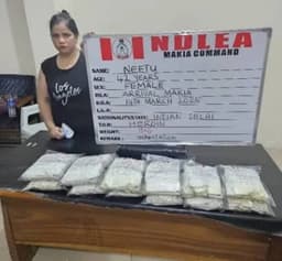 Court adjourns drug case against Indian woman over lack of interpreter in Kano